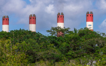 Guyane: polémique autour d'un projet de décret dérogatoire sur la biomasse