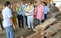 Edouard Fritch visite la scierie de Papara