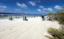 Les plages des Tuamotu bientôt débarrassées des pehu