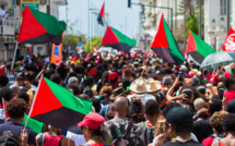 La collectivité de Martinique adopte le drapeau revendiqué par les indépendantistes