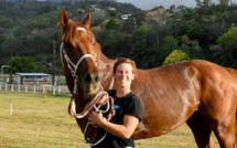 Vente de chevaux "pur sangs" et "selles" à Mataiea dimanche