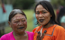 Sur la terre des caïmans, la lutte pour la survie du peuple Siekopaï
