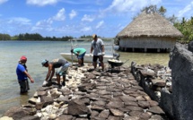 Rénovation des marae de Huahine après 30 ans d'interruption