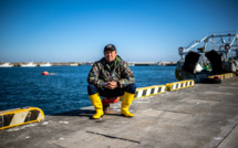 Le fugu, poisson de l'espoir pour les pêcheurs de Fukushima