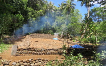 Le marae Paruai de Moorea reprend des couleurs