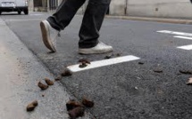 Espagne: une ville embauche des détectives anti-crottes de chien