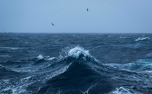 Bon vent! Enfin un accord à l'ONU pour protéger la haute mer