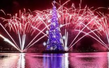 Rio inaugure son arbre de Noël flottant, le plus grand au monde