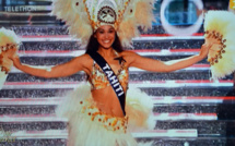 Miss France 2015 : le passage en costume traditionnel