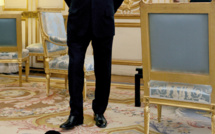 Philae, la nouvelle chienne de François Hollande