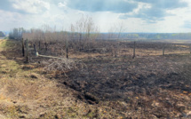 Incendies dans l'Ouest canadien: l'arrivée de la pluie ravive les espoirs