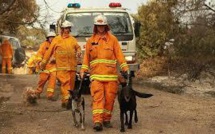 Feux de forêt en Australie: les pompiers dans une course contre la montre