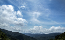 Le changement climatique dissipe "la forêt des nuages" au Costa Rica