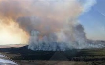 Australie: les feux de forêts ont lieu après une année historiquement chaude