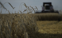 Guerre en Ukraine : Le blé clôture en hausse de plus de 8% sur le marché européen