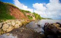 En Guadeloupe, des solutions fondées sur la nature pour réduire l'érosion des côtes