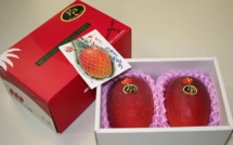 Deux mangues adjugées plus de 2.000 euros au Japon