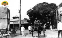 Papeete, un siècle de changement : des sites emblématiques de la ville