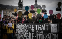 Loi immigration: les opposants dans la rue pour un "retrait total"
