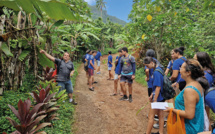 Les lycéens à la découverte des plantes de Bora Bora