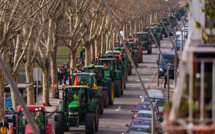 Des milliers d'agriculteurs manifestent en tracteur à travers l'Espagne