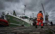 Golfe de Gascogne: la filière pêche déplore des "pertes folles"