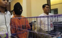 Indonésie: un homme interpellé pour avoir vendu des aigles sur Facebook