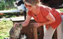 Australie: Brigitte Bardot dénonce l'abattage annoncé de deux millions de chats sauvages