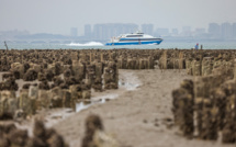 Sur une île taïwanaise, le ramassage des huîtres inquiète plus que la Chine