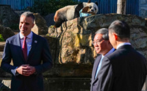 Par la "diplomatie du panda", le Premier ministre chinois scelle la relance des relations avec l'Australie