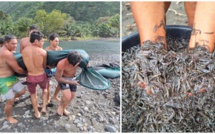 Les īna’a font le bonheur des pêcheurs