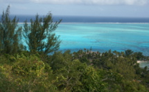 A Bora Bora, l'eau douce devient rare et aussi précieuse que son lagon