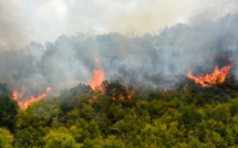 Deux semaines après les premiers feux, la Macédoine du Nord continue de brûler