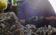 A Taïwan, des coquilles d'huîtres métamorphosées en tissu écoresponsable