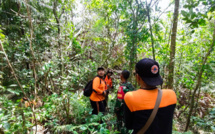 Indonésie : un adolescent français disparu à Bali, recherches en cours