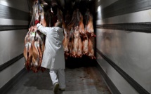 L’abattoir haché menu par la CTC