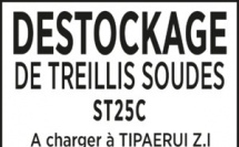 DESTOCKAGE DE TREILLIS SOUDES ST25C A TIPAERUI