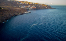 Espagne: une Allemande meurt après une attaque de requin au large des Canaries (secours)