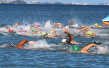 Natation –   Vial et Rimaud performants à la Pointe Vénus