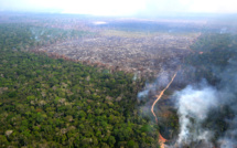 Lutte contre la déforestation: sous pression, l'UE lâche du lest