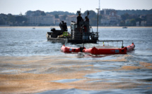 Bassin d'Arcachon: levée de boucliers face à un possible "permis de polluer"