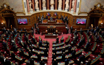 Les 22 recommandations du Senat pour “renforcer l'autonomie”