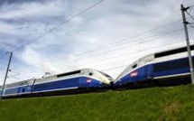 Un TGV évacué à cause d'une odeur suspecte... de viande fermentée
