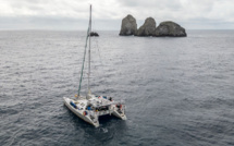 Dans le Pacifique colombien, un catamaran au chevet du royaume des requins