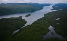 Comment les "Galapagos du Nord" sont devenus la plus grande aire protégée du Canada