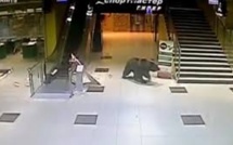 Russie: un ours abattu dans une école après une virée dans un centre commercial (vidéo)
