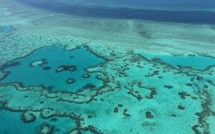 Grande barrière de corail: Canberra relance un projet minier controversé