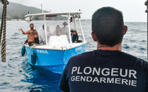 Saison des baleines : la gendarmerie se prépare pour 2025