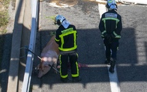 Dix morts et deux blessés graves dans l'incendie d'une maison de retraite en Espagne