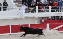 Corrida et protection de l'enfance: le Sénat s'oppose à l'interdiction pour les mineurs